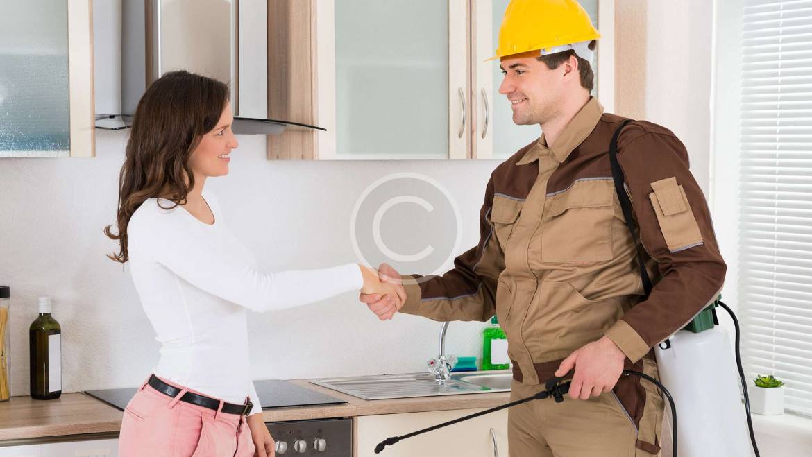 Fast Tick & Mosquito Removal