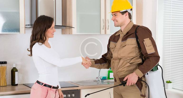 Fast Tick & Mosquito Removal