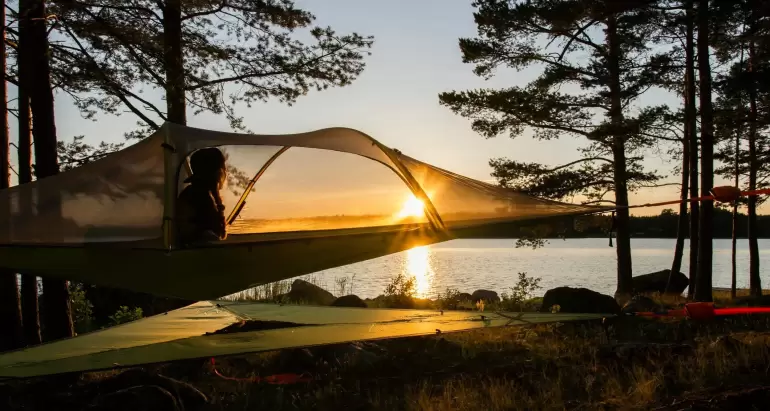 Debunking Common Myths About Tick and Mosquito Control